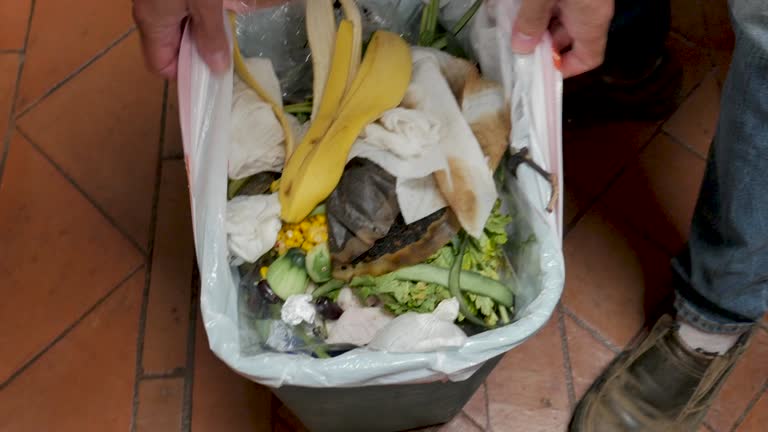 Best Appliance Removal  in Ashland, WI